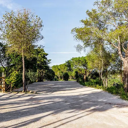 Villa Peace And Nature Near Lisbon *